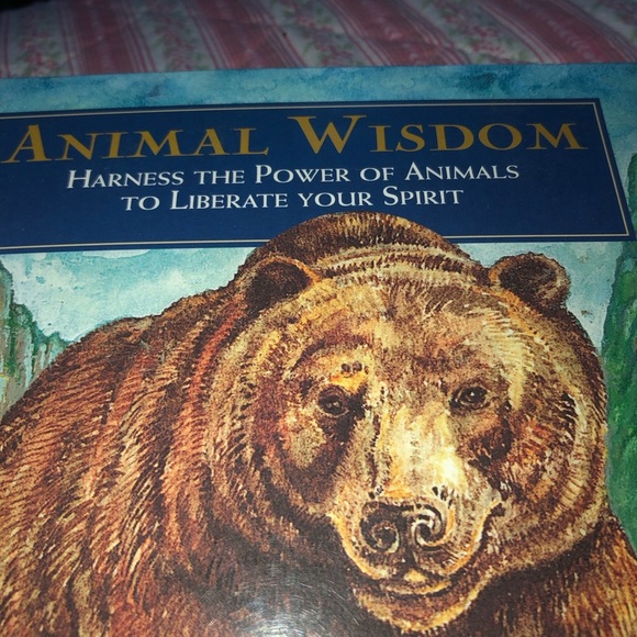 Animal Wisdom Book by Susie Green - Picture 2 of 9